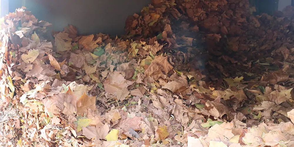 純電動(dòng)樹葉收集車_多功能樹葉收集車_吸樹葉的機(jī)器_掃樹葉神器